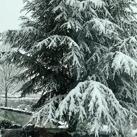 Kaeppler-hof-wieners 올스버그