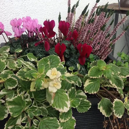 아파트 Kaeppler-hof-wieners *