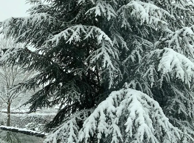 Kaeppler-hof-wieners Ольсберг