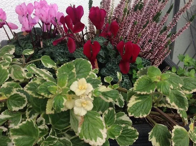 Appartement Kaeppler-hof-wieners *