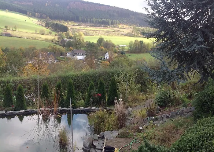 Apartmán Kaeppler-hof-wieners Olsberg